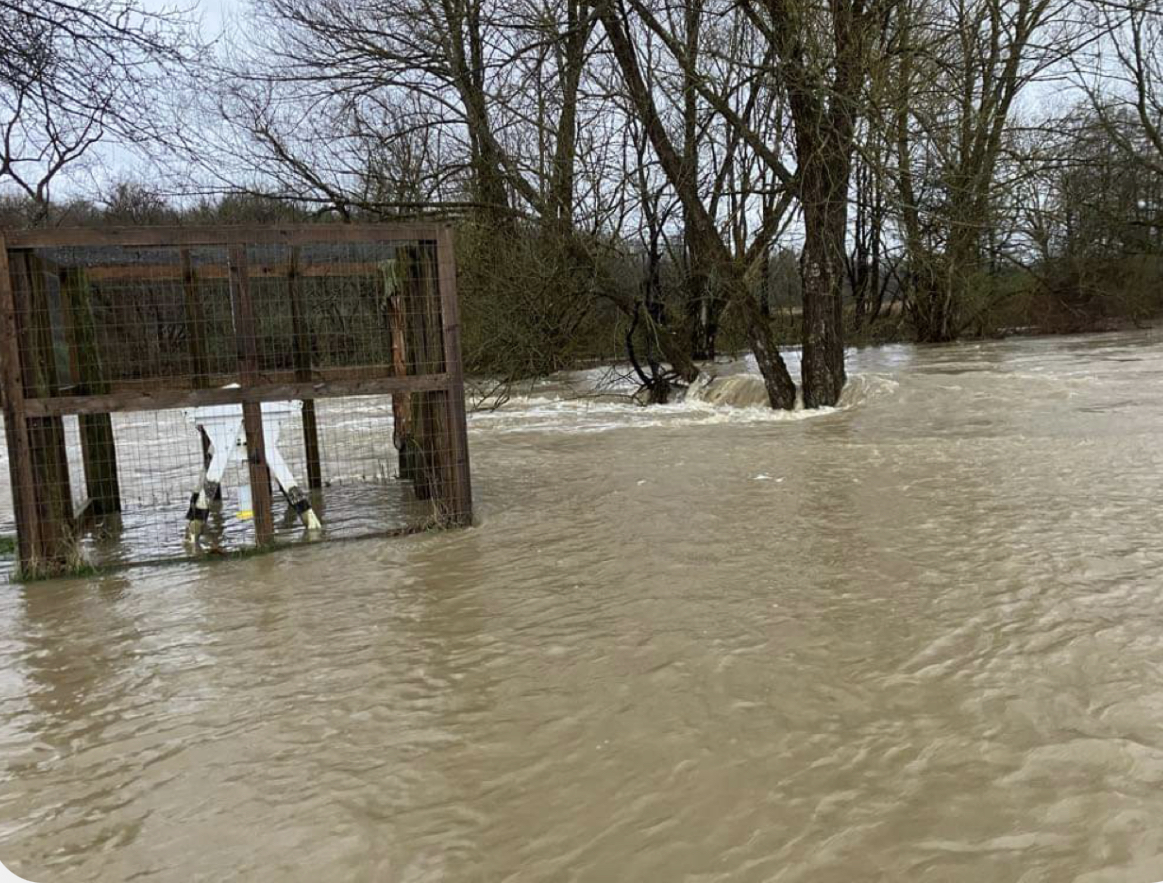 Heavy Rains Cause Flooding in Busti, Residents Urged to Exercise Caution