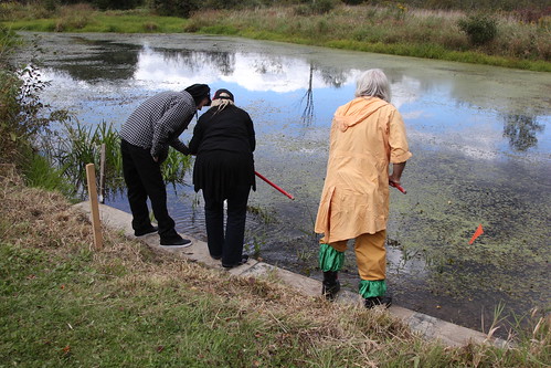 Dive into Nature: Explore Pond Life at Audubon Next Saturday