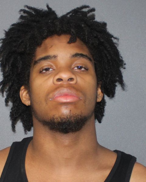 Alleged Buffalo Car Thieves Face Felony Charges Following Dramatic Police Pursuit