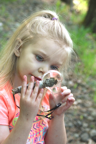 Solve the Spring Forest Mystery at Audubon Community Nature Center!