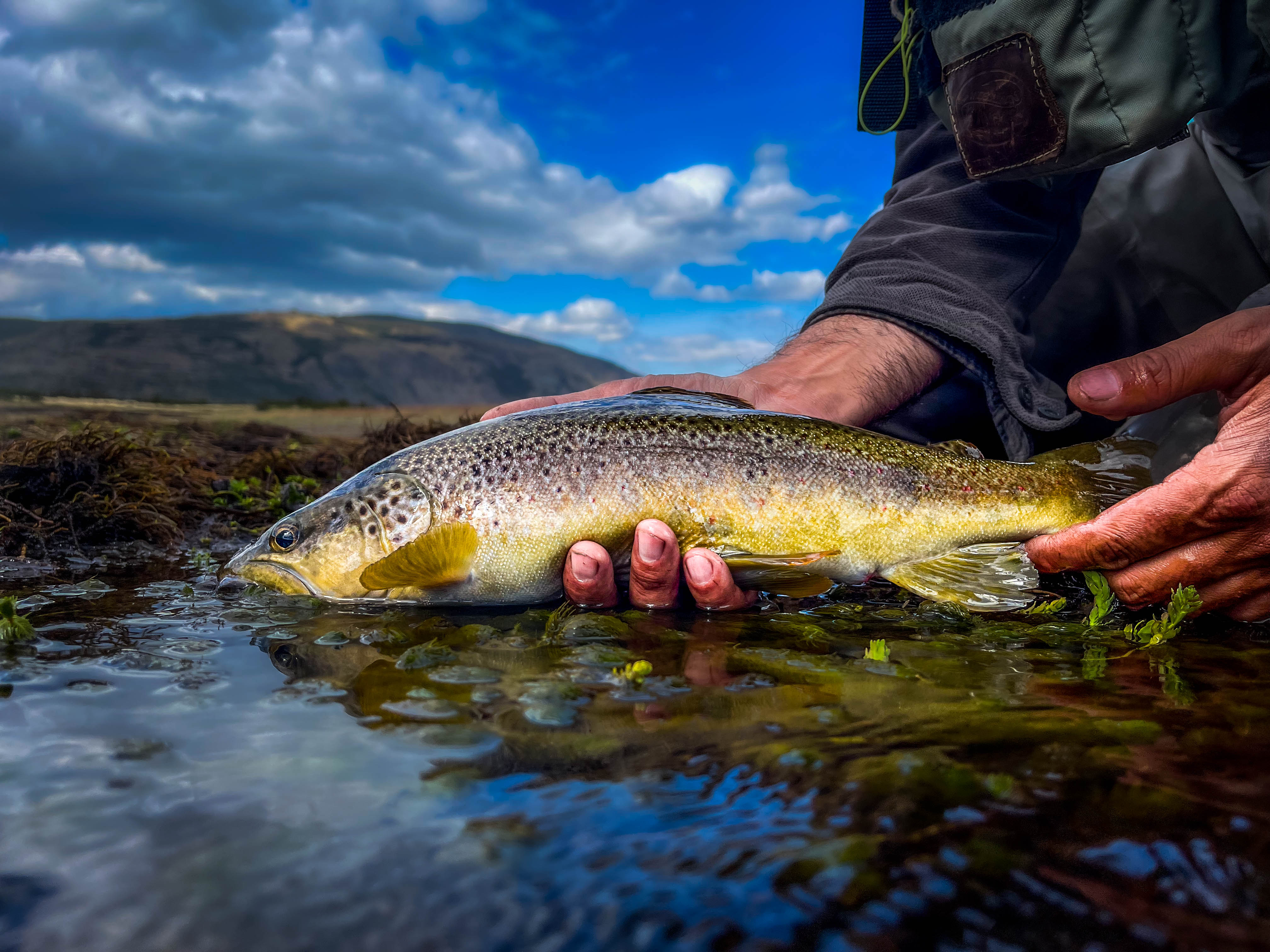 Local Experts to Teach Fly Fishing Mastery at Warren Public Library