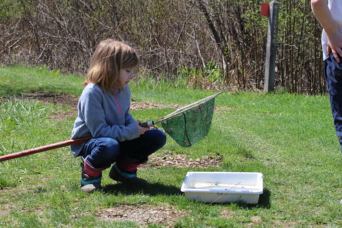 Dive into Pond Life with Little Explorers at Audubon