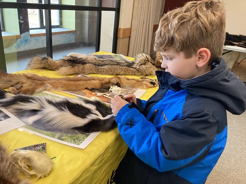 Discover the World of Mammals with Little Explorers