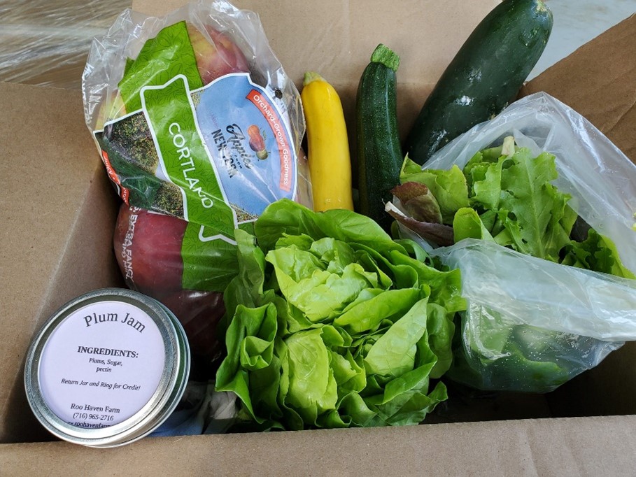 Cornell Chautauqua Grow Program Flourishes, Expands Reach