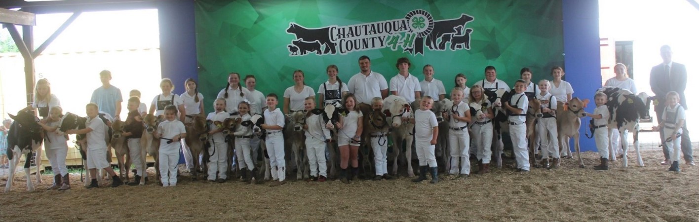Young Farmers Shine at 2024 Chautauqua County 4-H Dairy Show