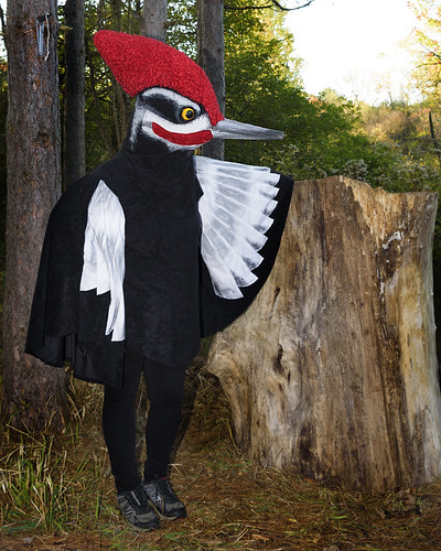 Volunteers Sought for Enchanted Forest Event at Audubon Nature Center