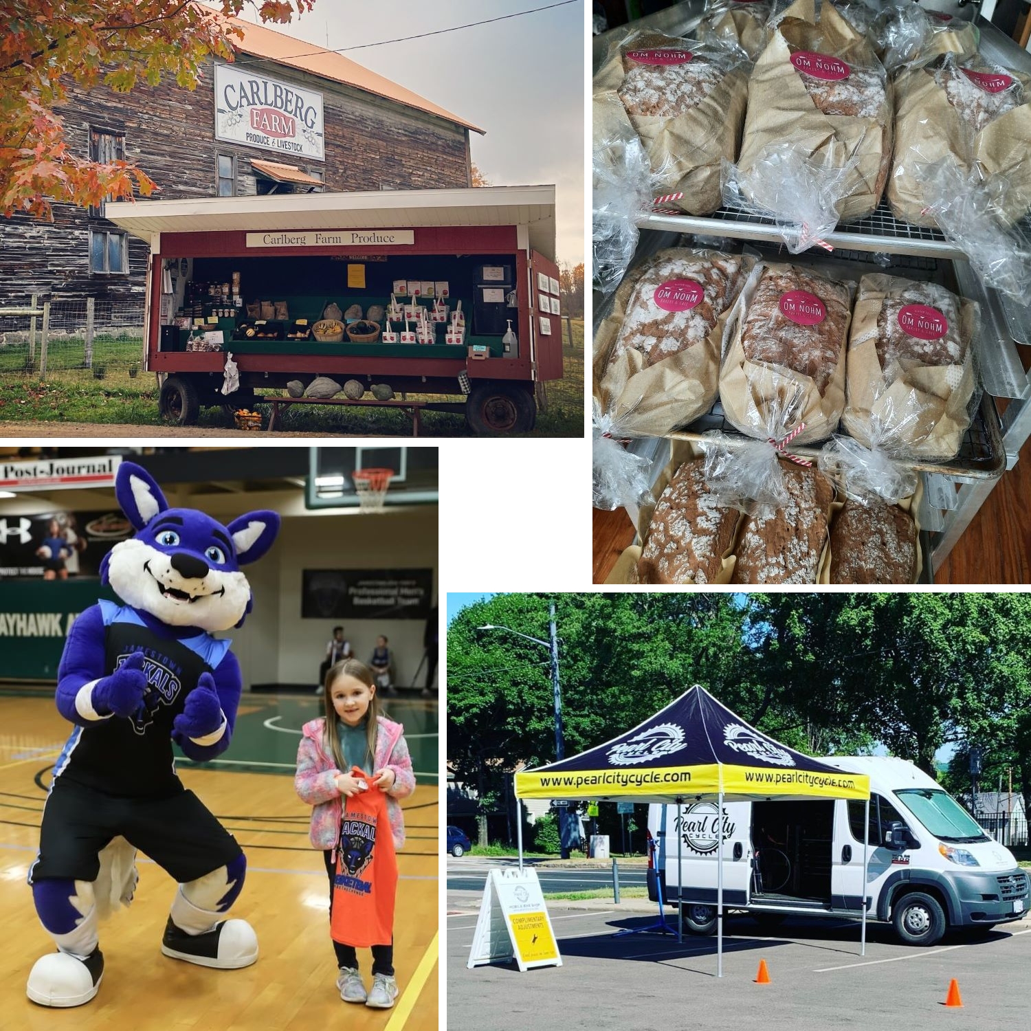 Chautauqua County Businesses Thrive with $675,000 in Grants