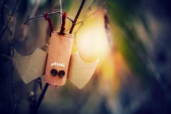 Transform Your Halloween: Sustainable Tips for a Guilt-Free Celebration