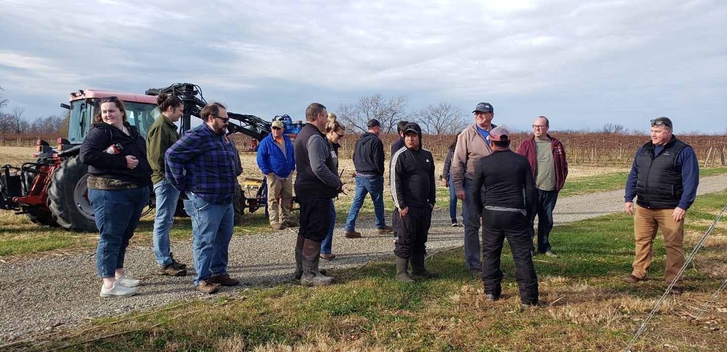Grape Growers Learn Key Pruning Techniques for Higher Yields at Cornell’s AgriTech Campus