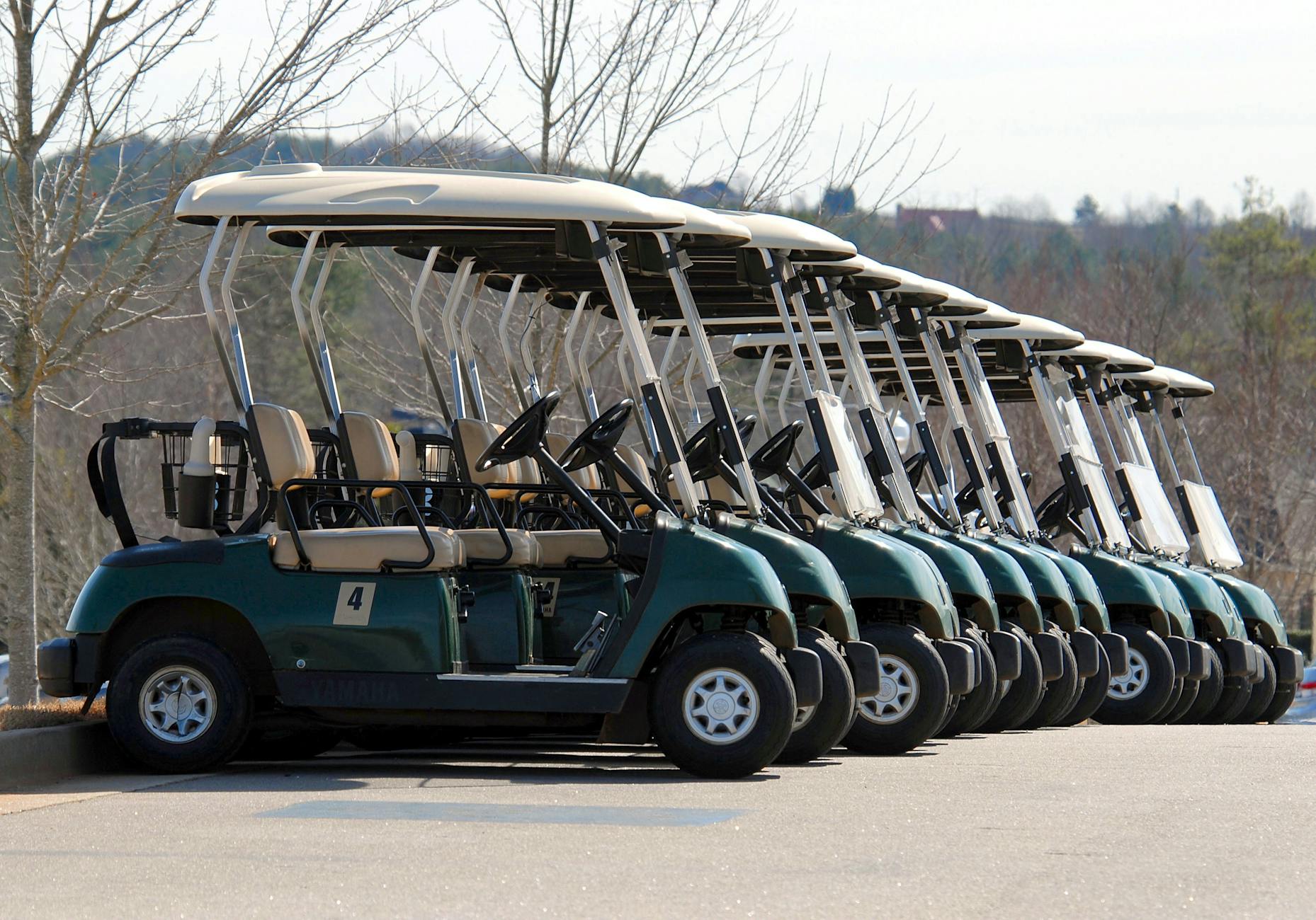 Golf Cart Rentals for Events: Everything You Need to Know
