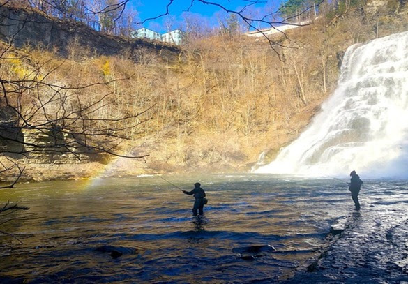 Chasing Steelhead in the Great Lakes Tributaries: A Thrilling Fishing Experience Awaits
