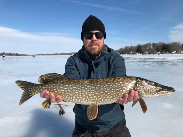 NYS Conservation Council Honors Mike Todd with ‘Professional Conservationist of the Year’ Award for Leadership in Environmental Protection