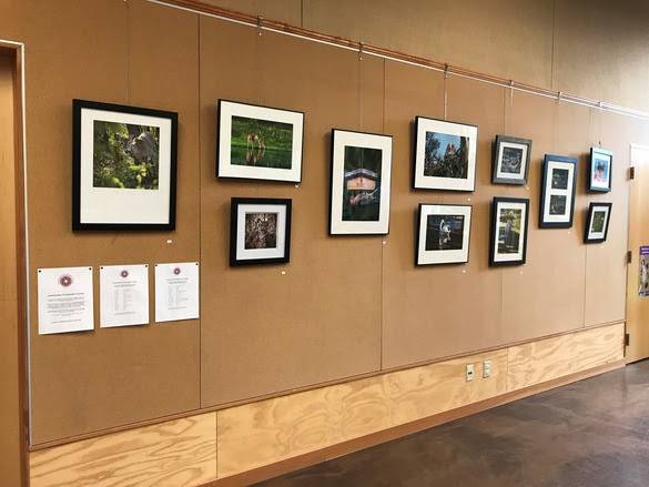 Celebrate Fall at Five Rivers: Nature, Wildlife, and Community Programs Await