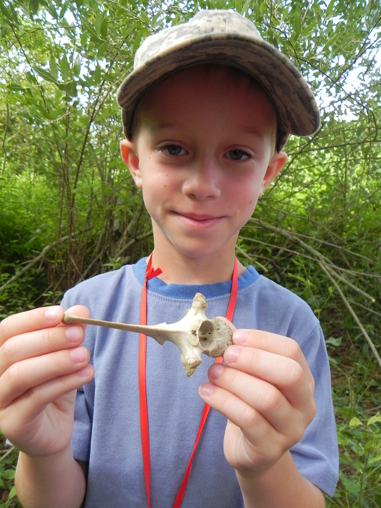 Bone Up on Nature: Little Explorers Discover Vertebrate Secrets at Audubon