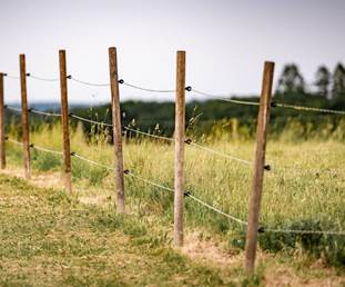 Fencing 101 for Veterans: Free Virtual Seminar on Livestock Fencing Options and Installation
