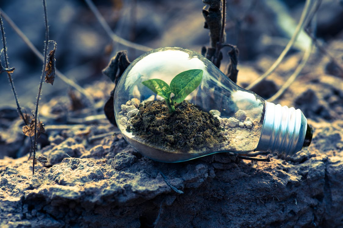 The Rise of Renewable Energy: What It Means for Your Community