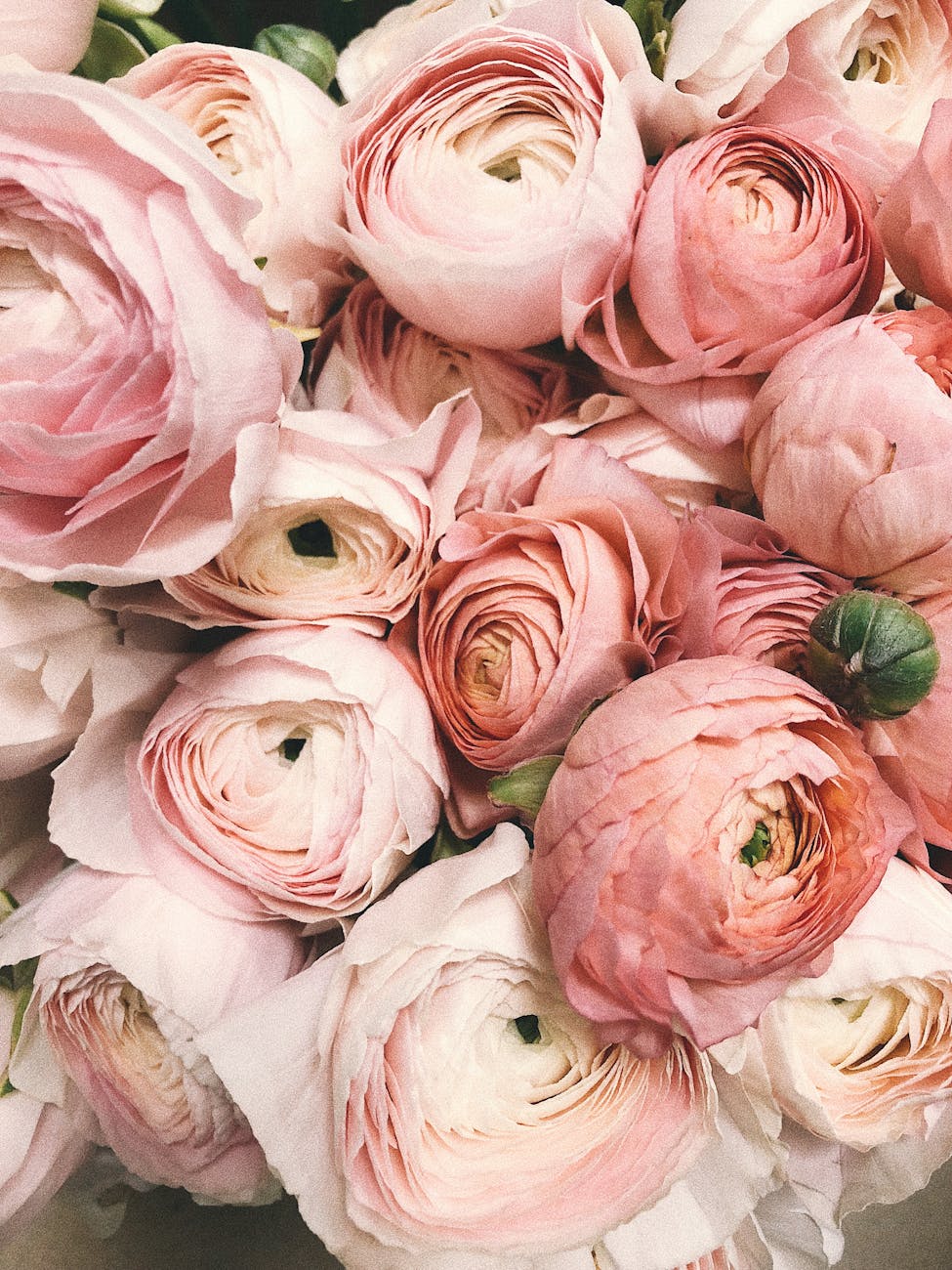 Flowers for Graduation: The Perfect Way to Celebrate Success