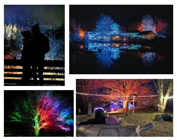 Audubon Lights 2025: A Mesmerizing Spring Spectacle Awaits