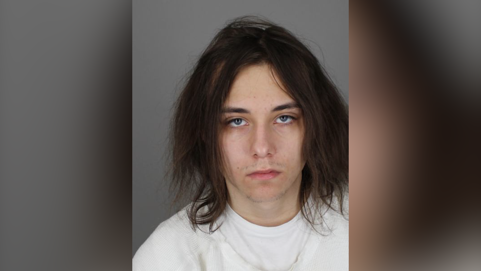 Tonawanda Man Arraigned on Aggravated Animal Cruelty Charge