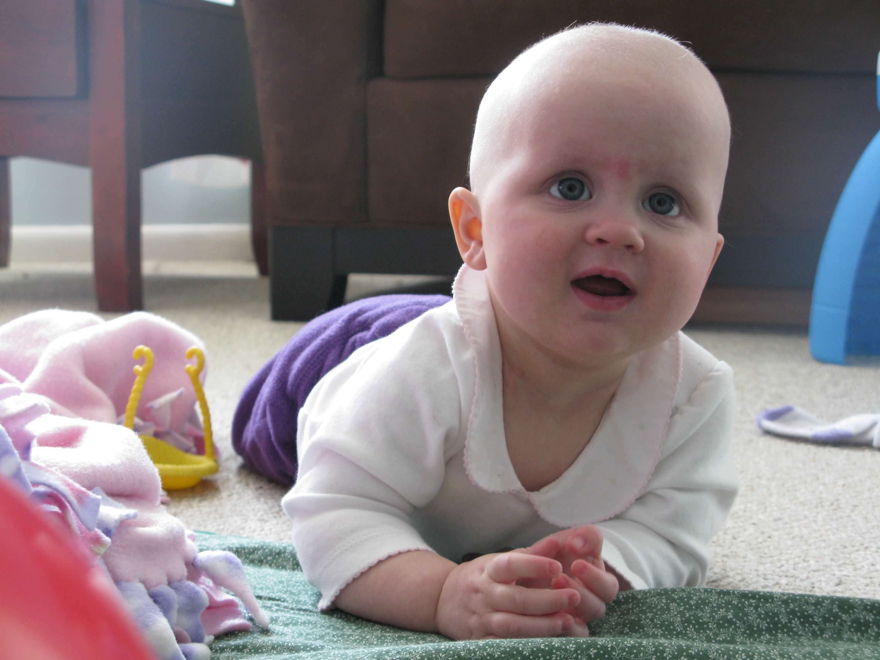 A Life-Saving Mission: Fredonia Senior Organizes Blood Drive to Honor Sister