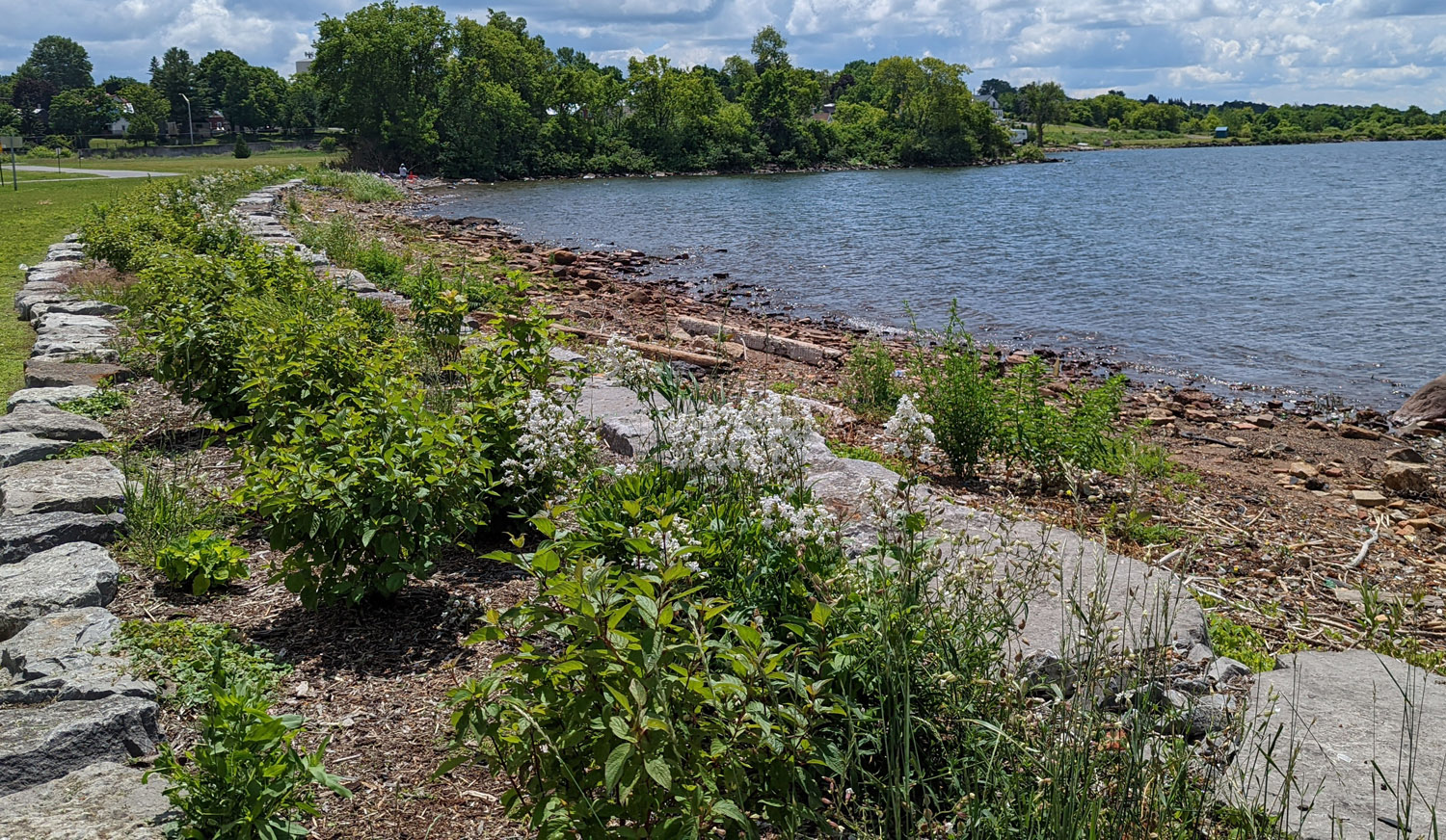 Battling Coastal Erosion: Free Help for New York’s Great Lakes Communities