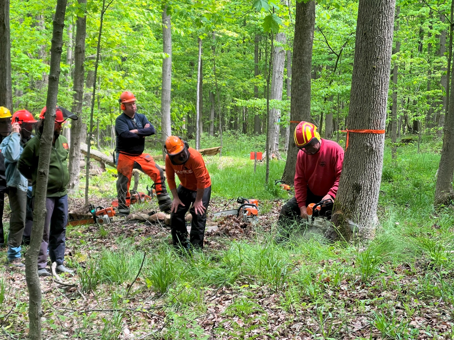 Mastering the Chainsaw: Safety Training Empowers Volunteers in Chautauqua County