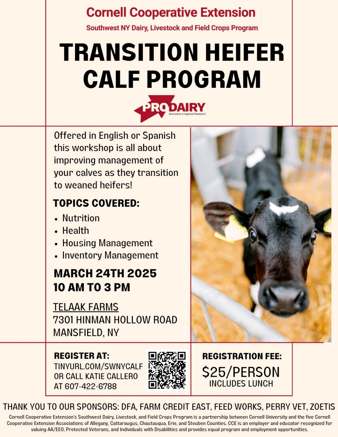 Future Farmers: Mastering the Art of Transition Calf Care