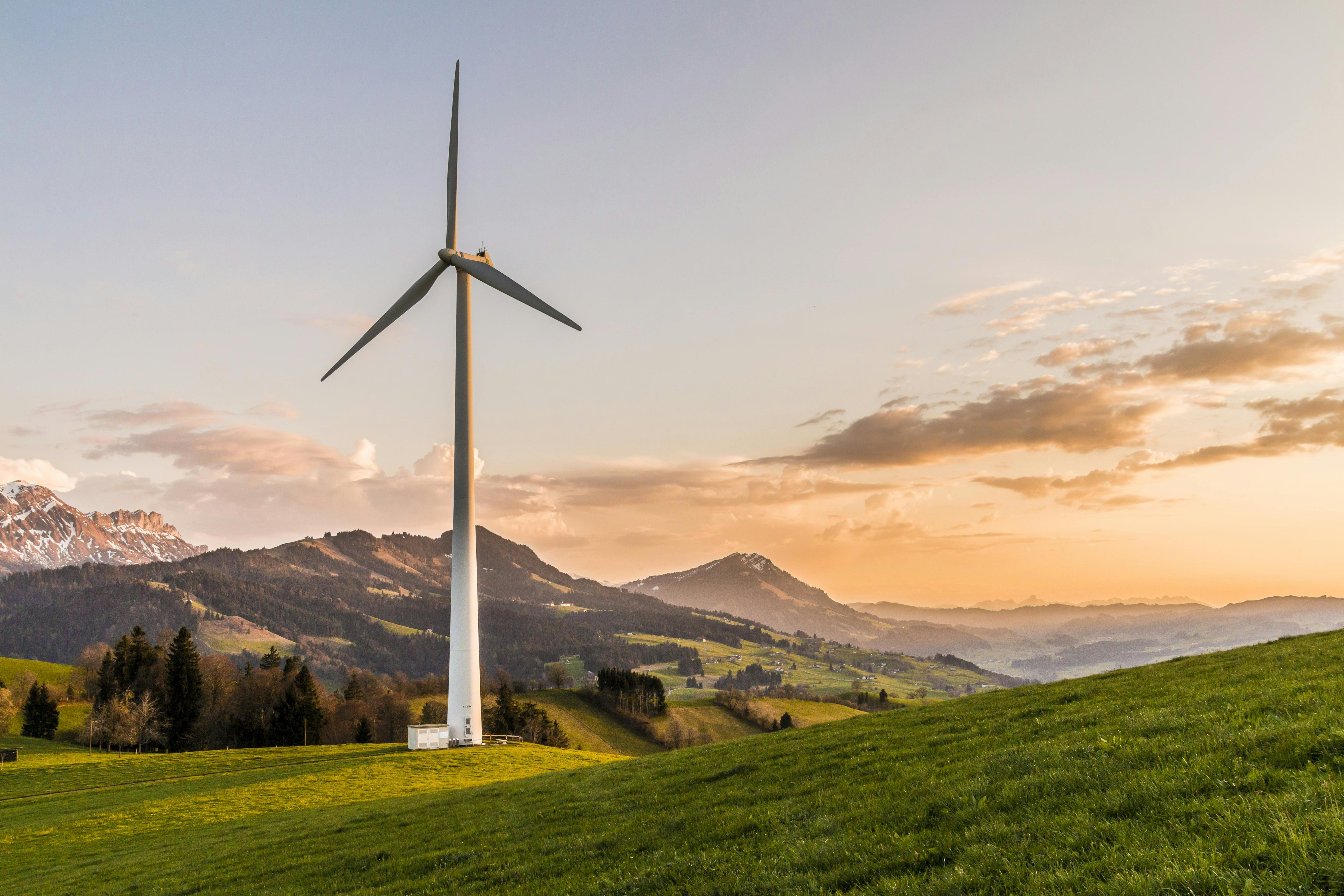The Role of Renewable Energy in Reducing Global Carbon Footprints