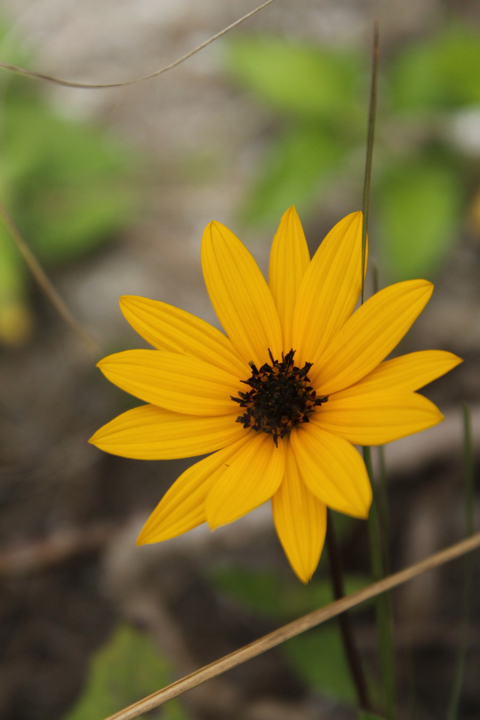 Audubon Unveils Esteemed Judges for $1,600 Nature Photography Contest
