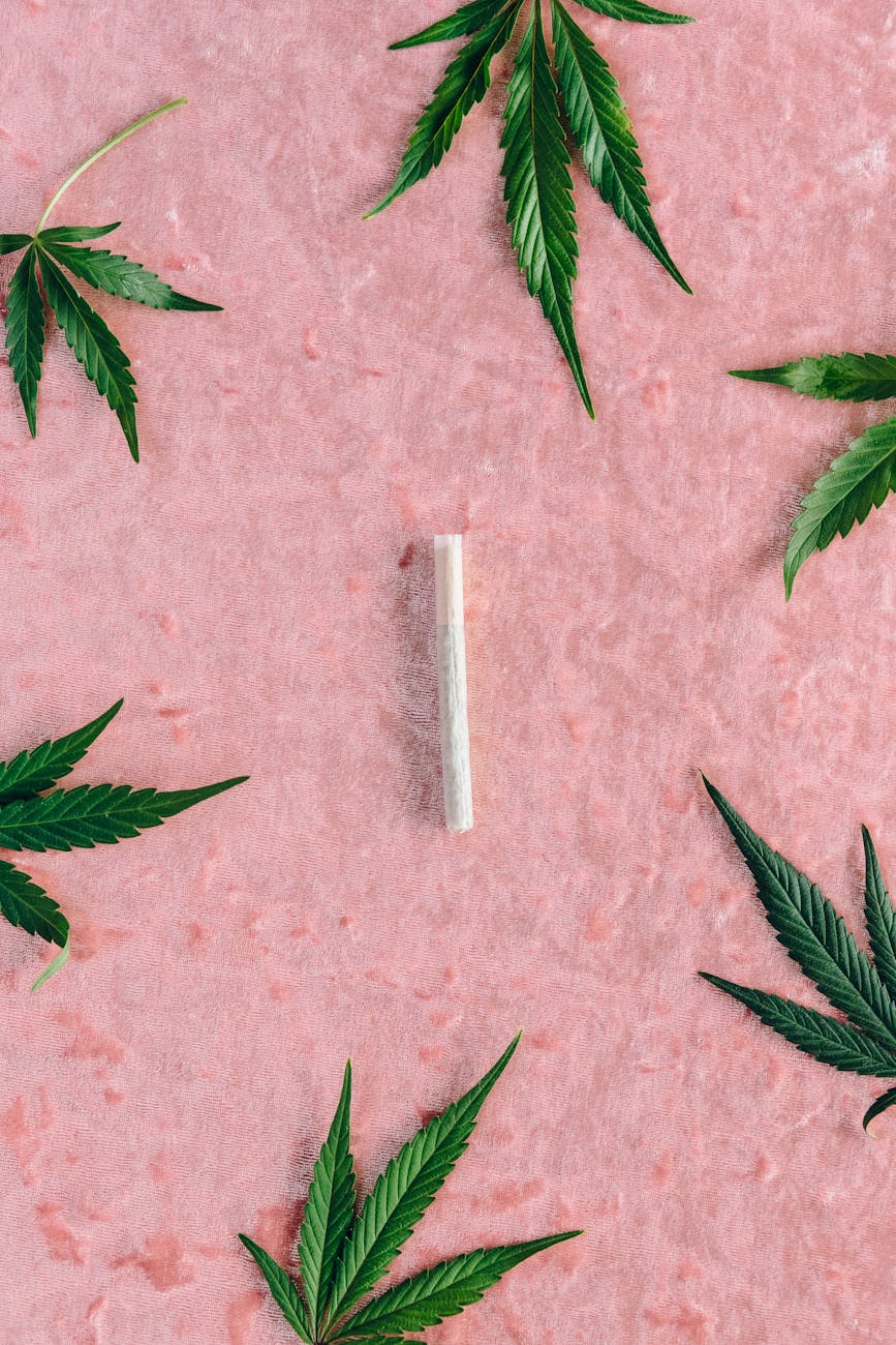 How Blunts and Spliffs Differ: A Guide to Cannabis Smoking Options
