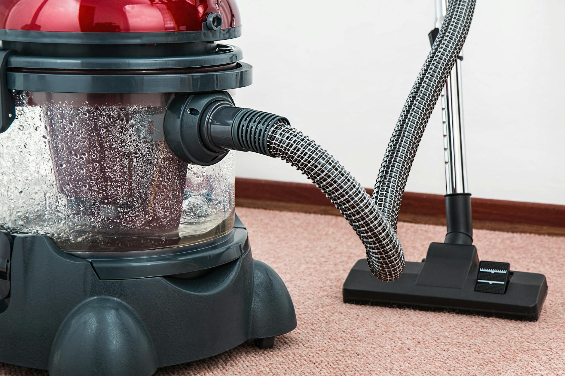 Why Professional Carpet Maintenance Is Essential for New Jersey Homes