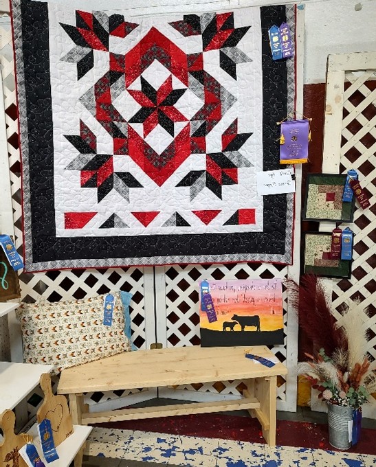 Chautauqua County 4-H Youth Showcase Talent, Creativity at County Fair