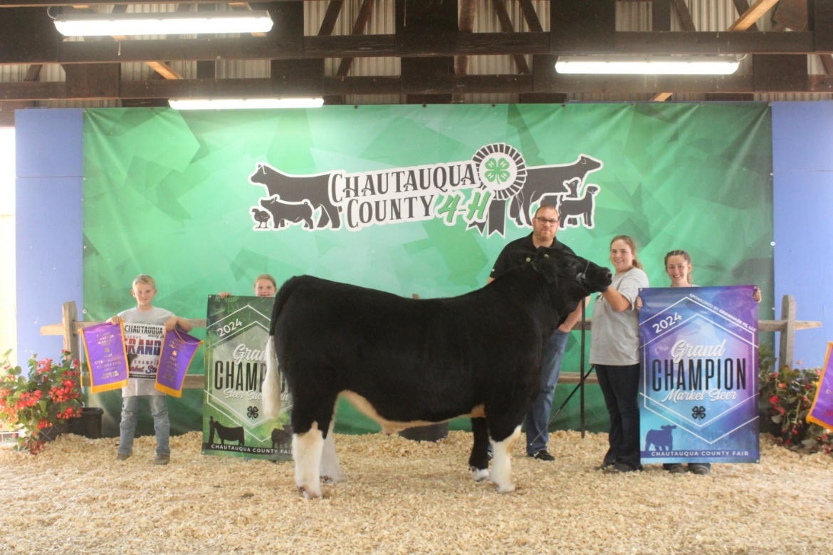 From Barn to Bid: Chautauqua County 4-H Youth Prep for 61st Annual Meat Animal Sale