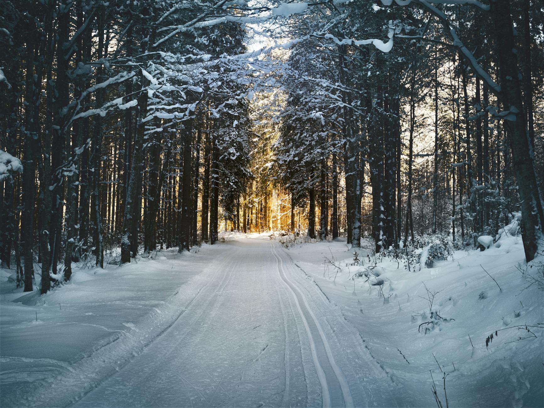 Fleet Safety Checklist: Must-Have Tools for Winter Driving