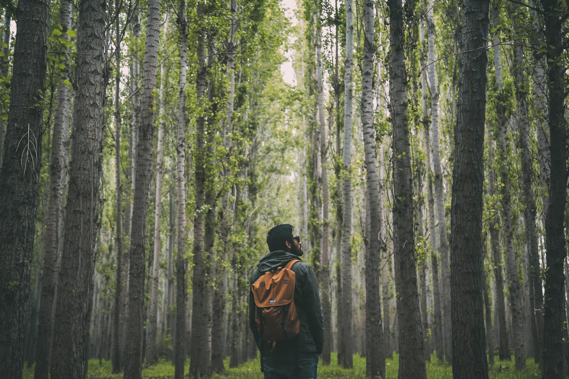 Wanderlust on Foot: Perfect Planning for Hiking Trips