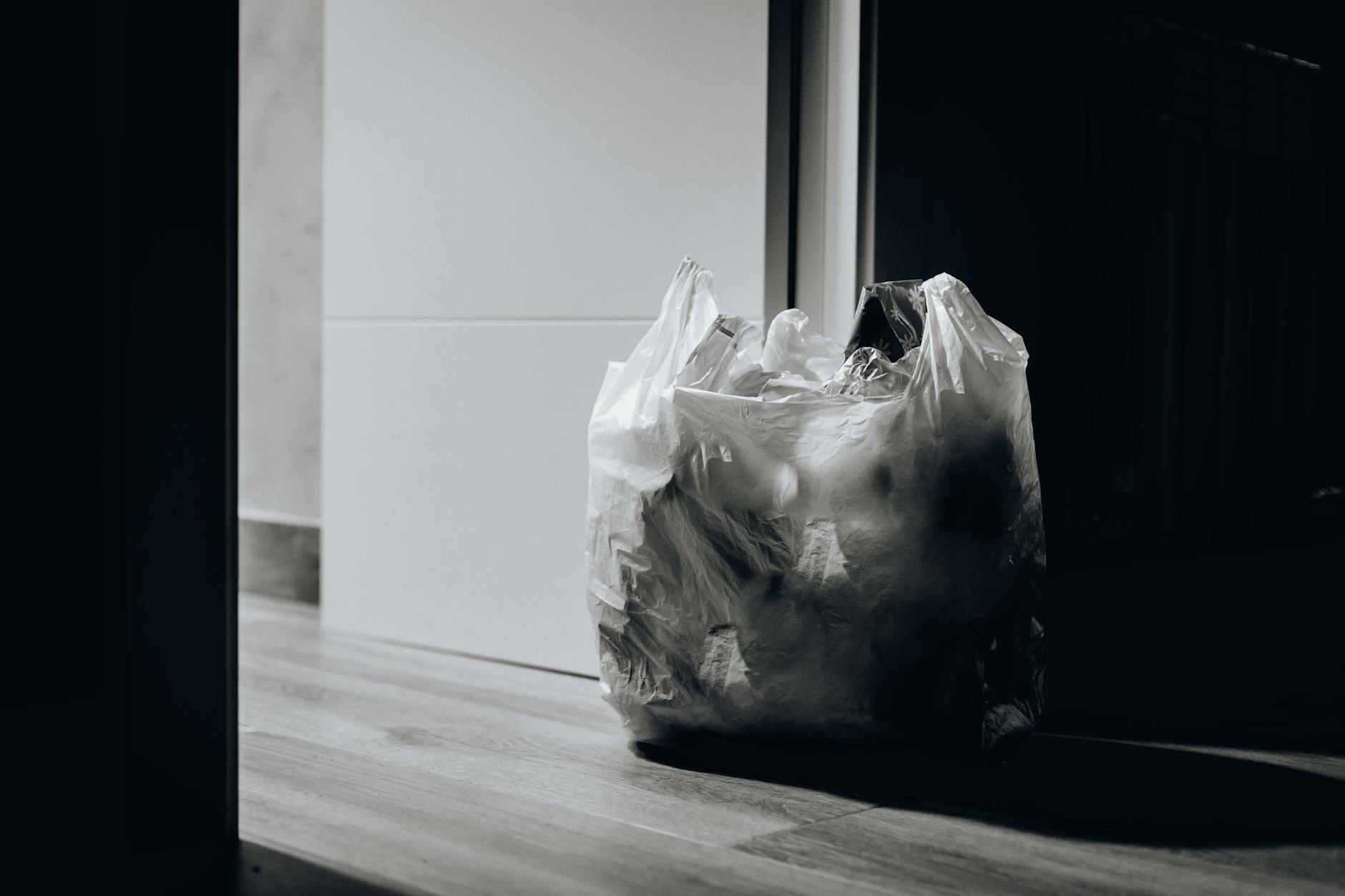Modern Waste Management: Balancing Efficiency and Sustainability