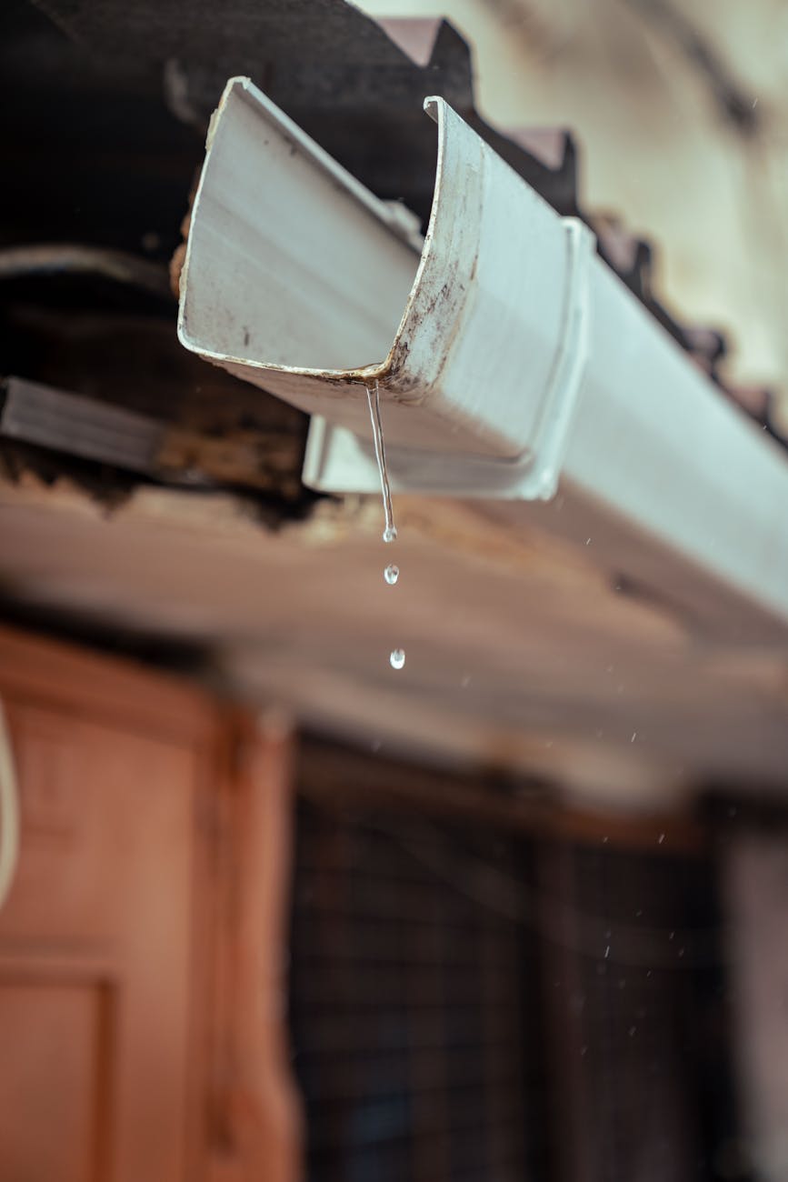 Why Homeowners in Loxahatchee Rely on Gutter Experts for Long-Term Drainage Solutions