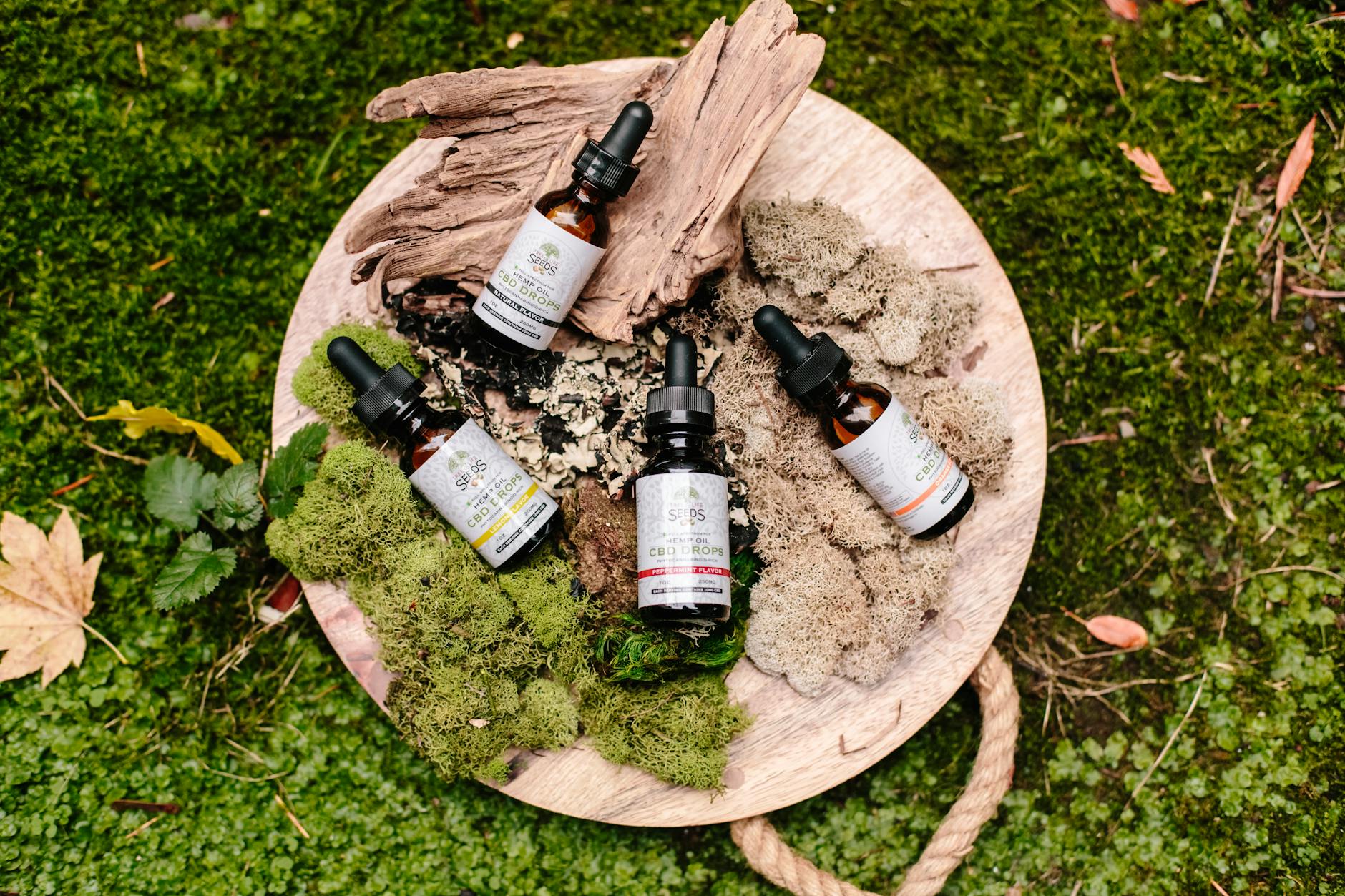 Unlocking Wellness Potential: The Rise of CBD