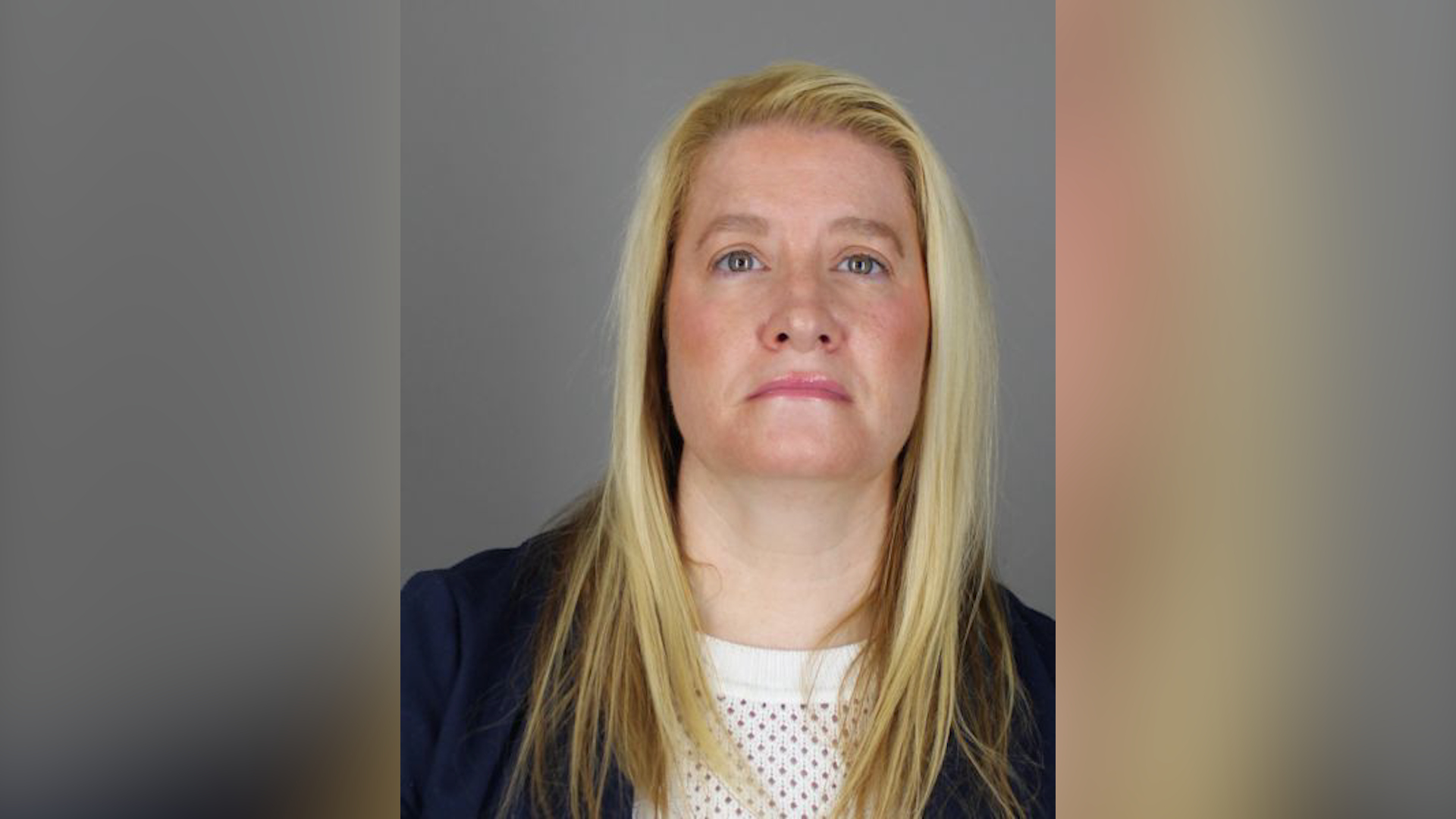 VETERINARIAN ARRAIGNED ON CHARGES OF FALSIFYING BUSINESS RECORDS IN CASE OF MISSING DOG