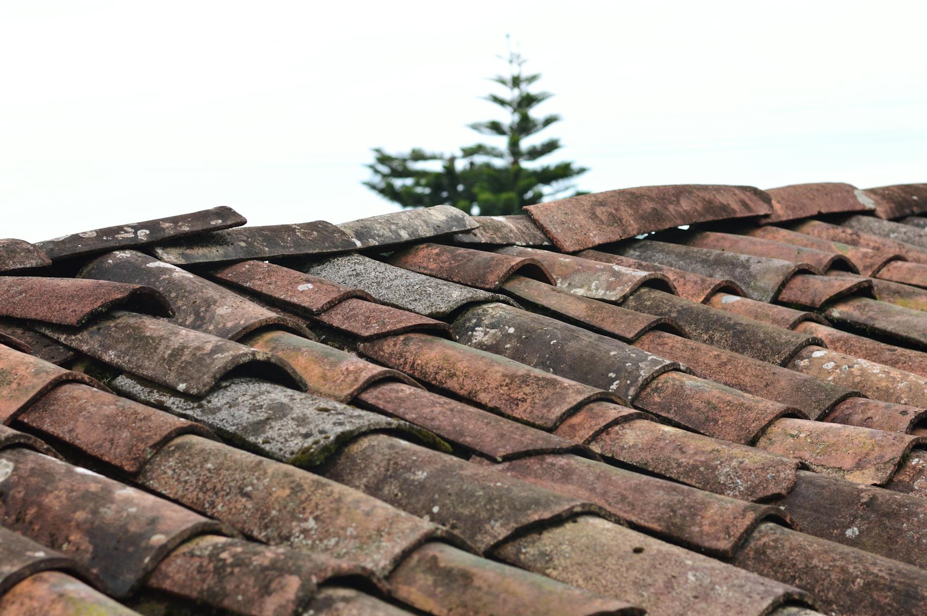 Addition Roofs: Blending New With Old for Seamless Curb Appeal