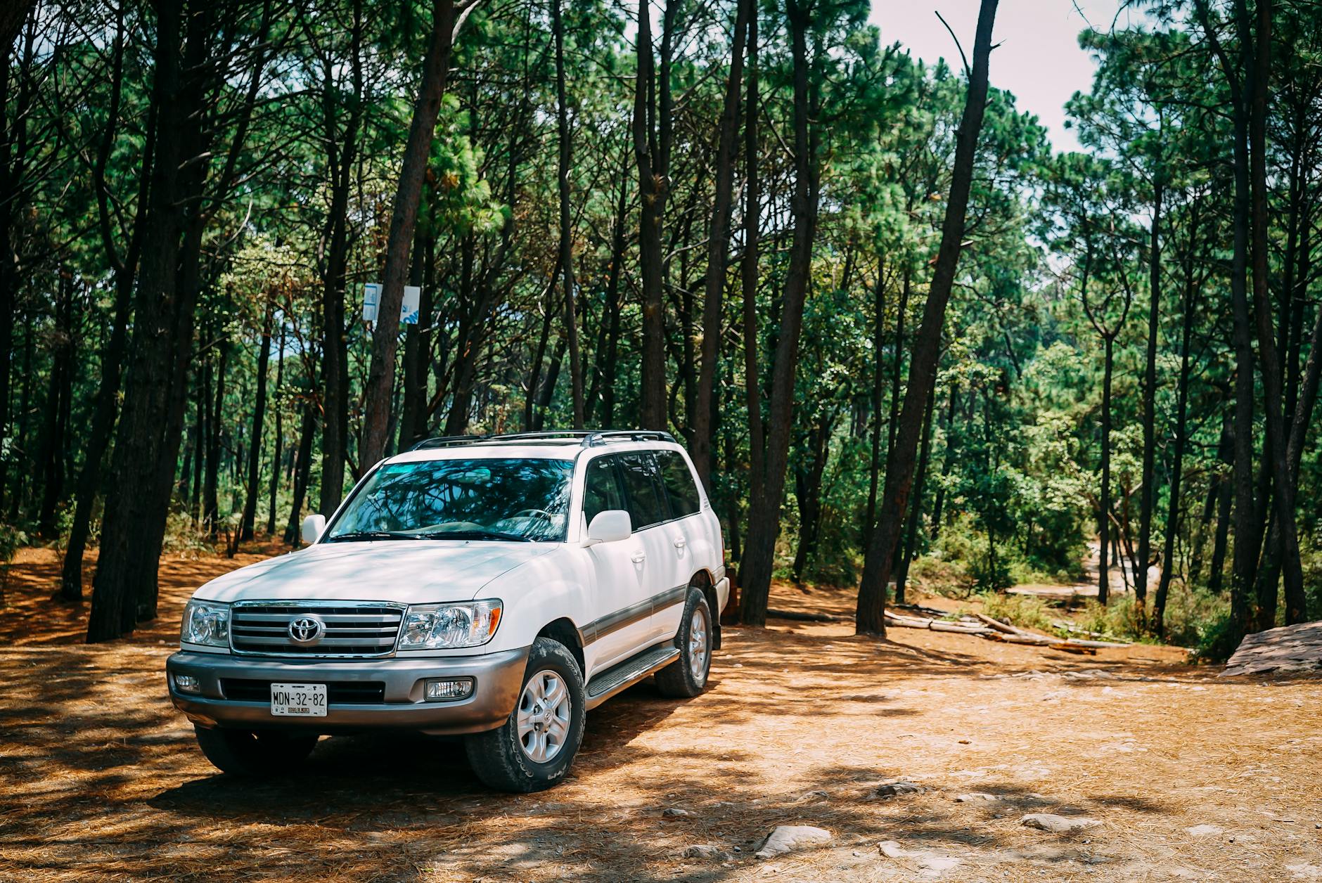 white toyota land cruiser parked in forest