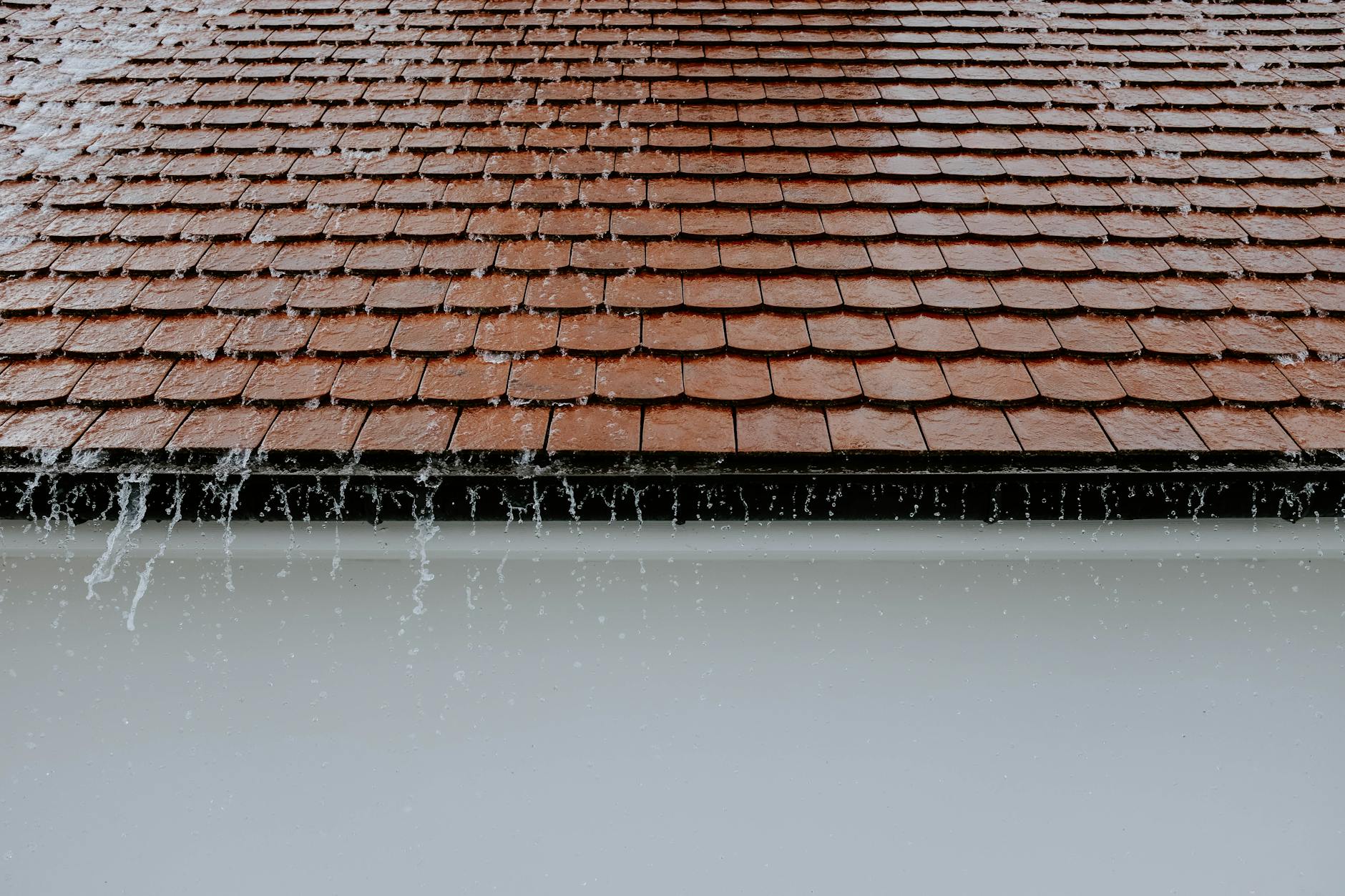 Smart Questions to Ask Before Any Storm Roof Damage Repair