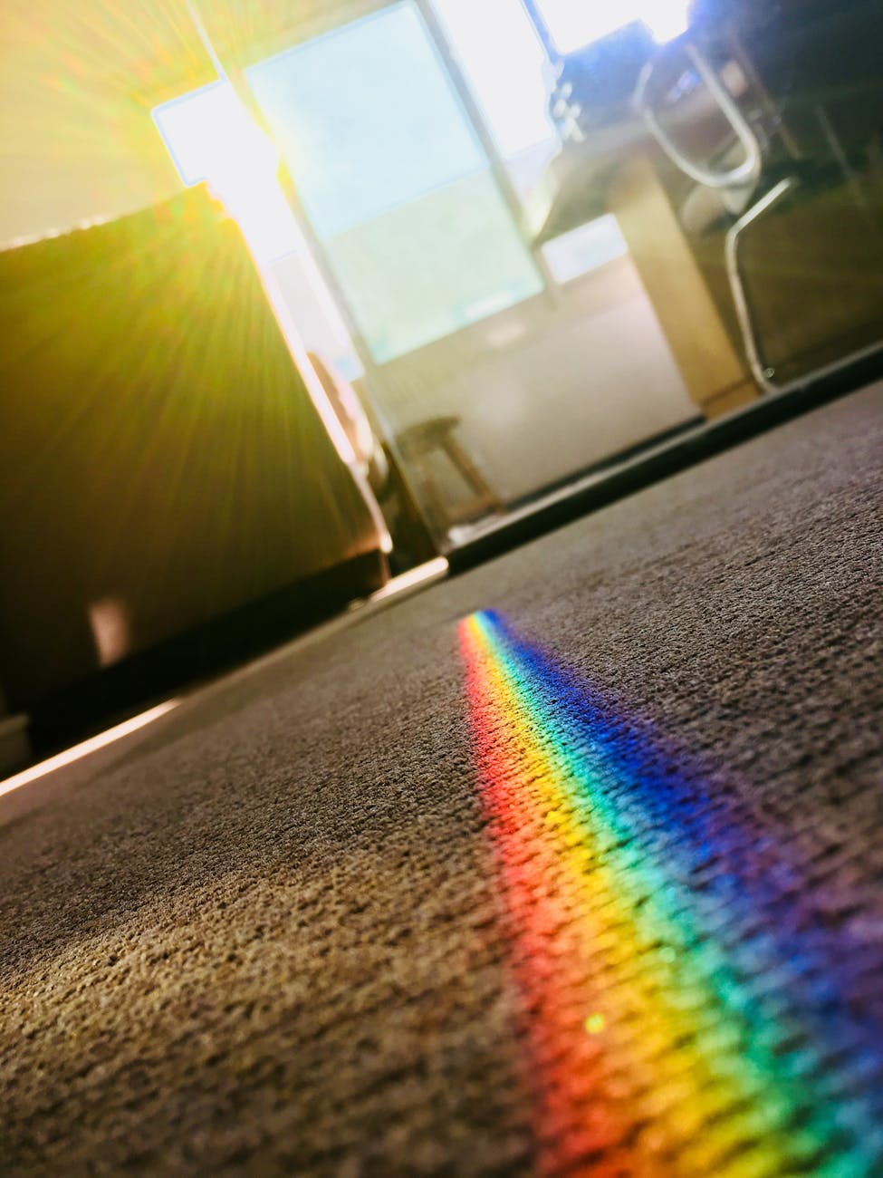 The Complete Guide to Carpet Cleaning in Maryland: Local Insights, Expert Tips