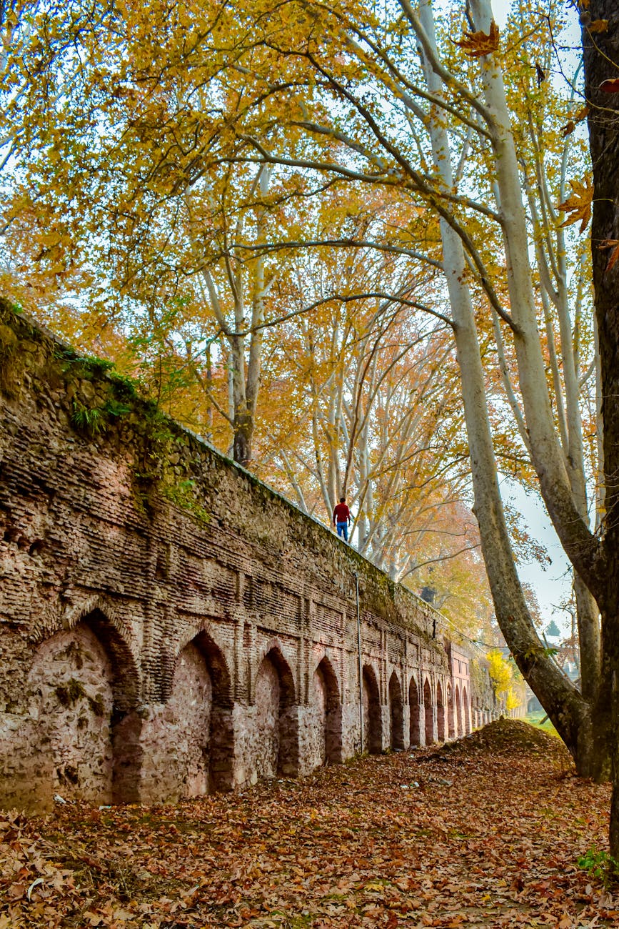 Maximizing Landscape Functionality with Custom Retaining Walls