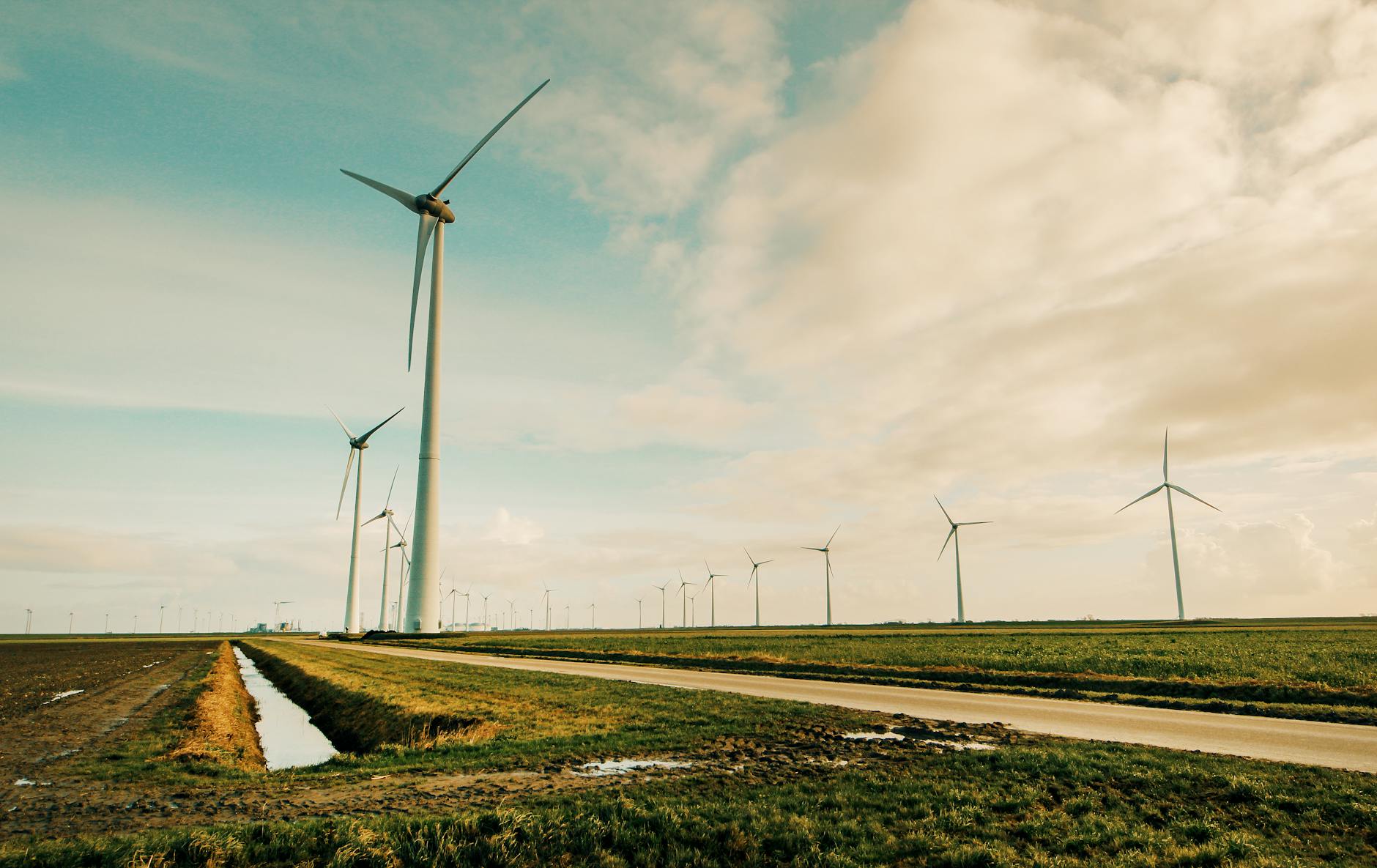 What Does True Sustainability Look Like in the Digital Age?
