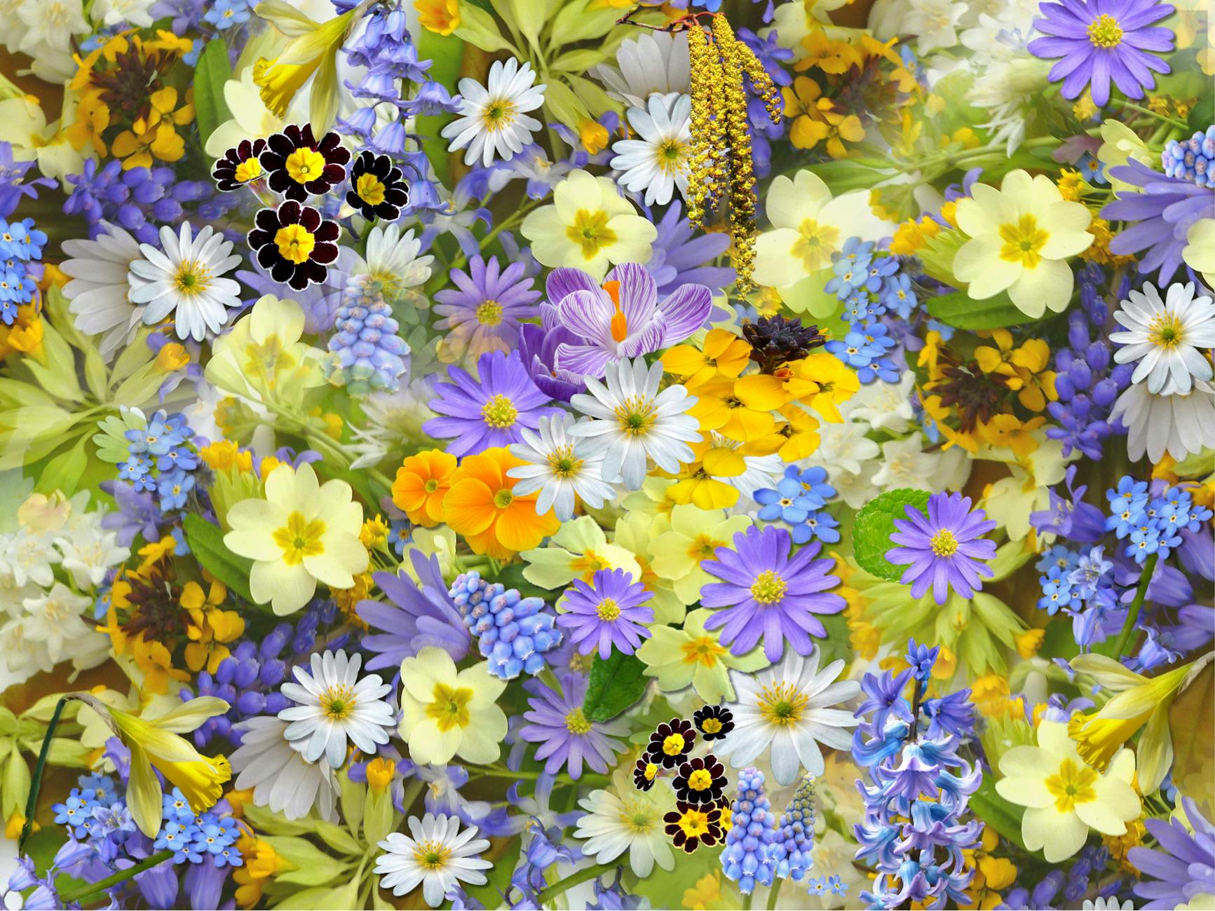 The Secret to Choosing Birthday Flowers That Match the Moment