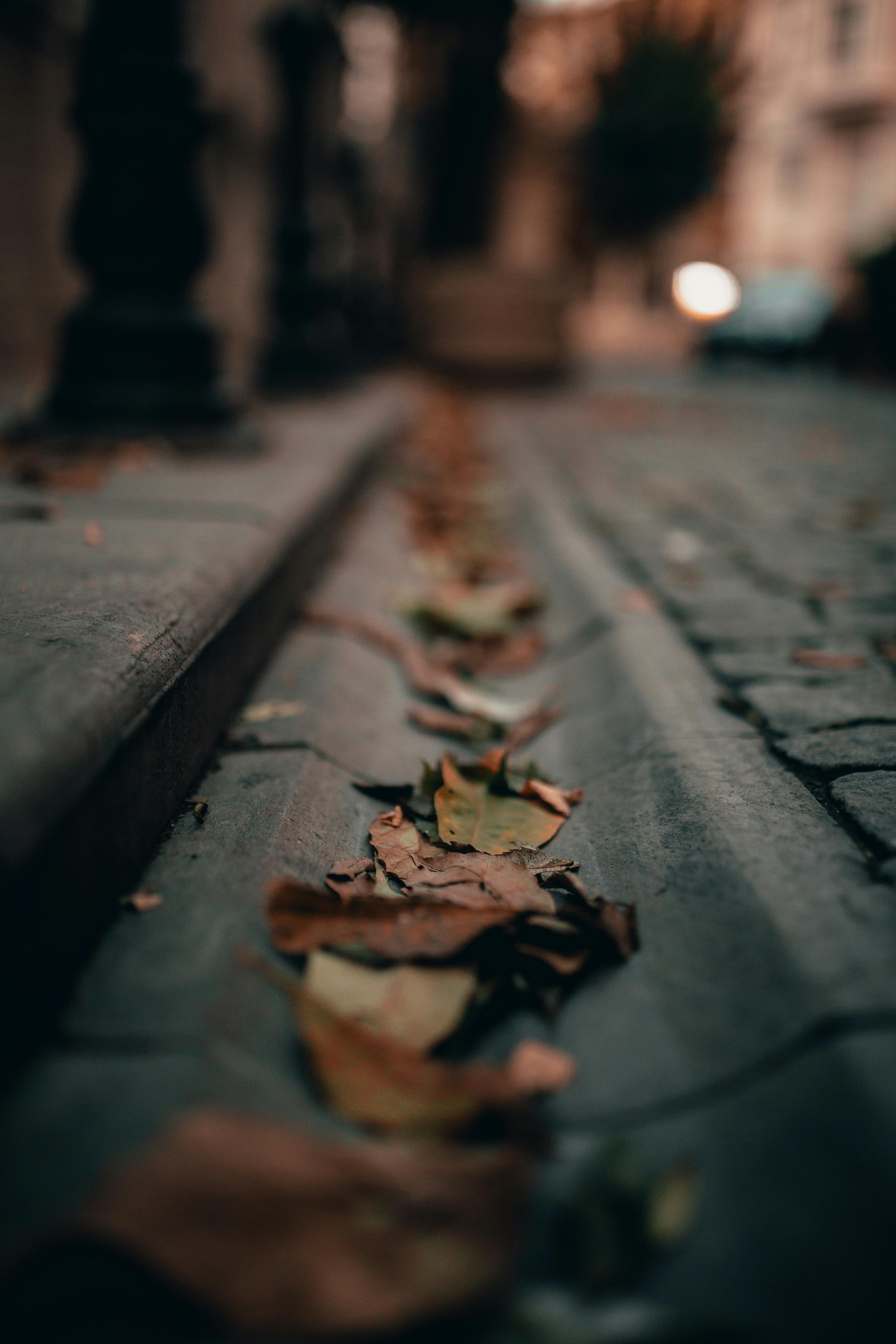 Why Gutter Blockages Lead to Expensive Home Damage