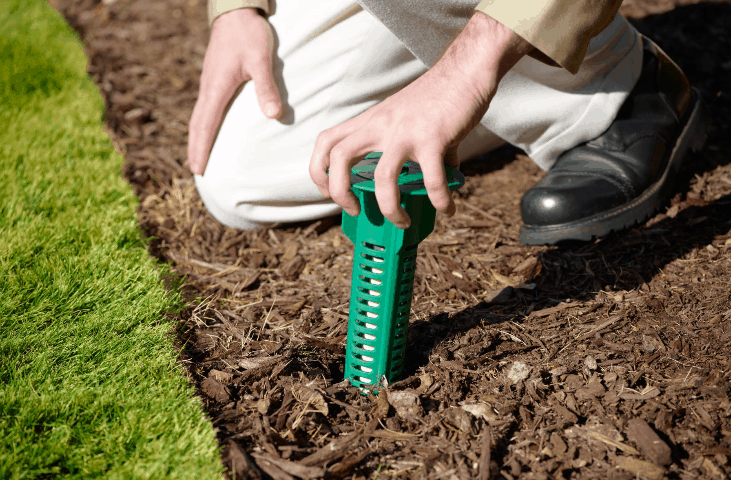 Why Homeowners Should Rely on Updated Termite Solutions Instead of Outdated Approaches