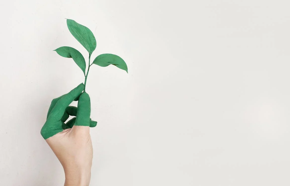 Building A Sustainable Workplace Culture From Top To Bottom