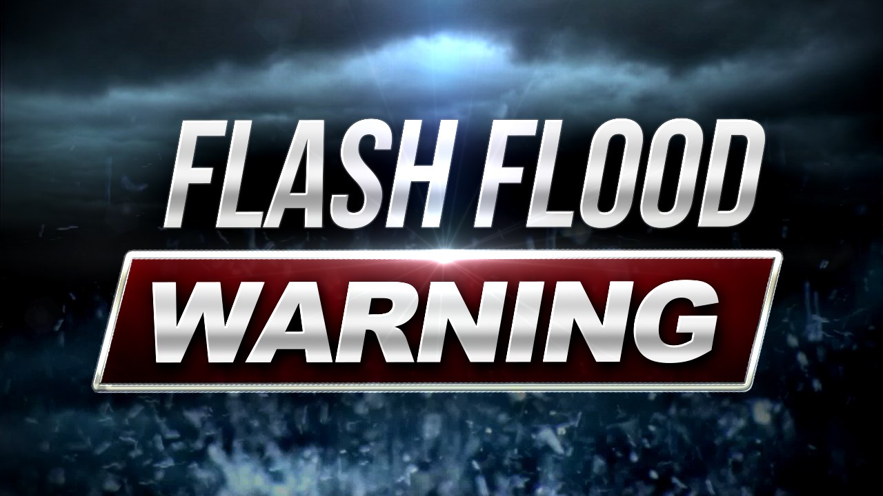 Flood Warning Issued for Cattaraugus Creek at Gowanda; Minor Flooding Expected Overnight